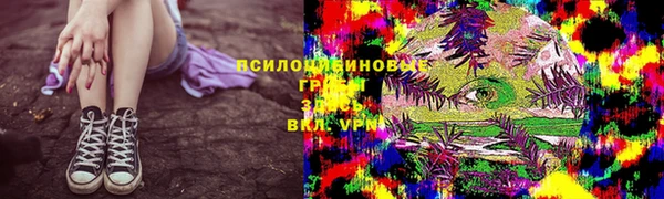 мет Корсаков