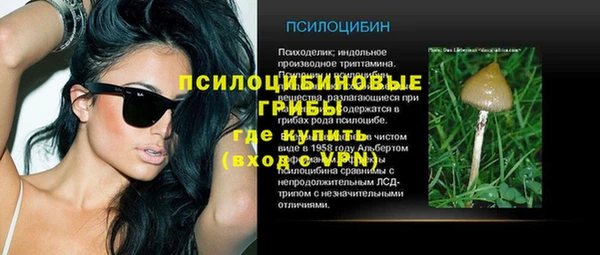 мет Корсаков