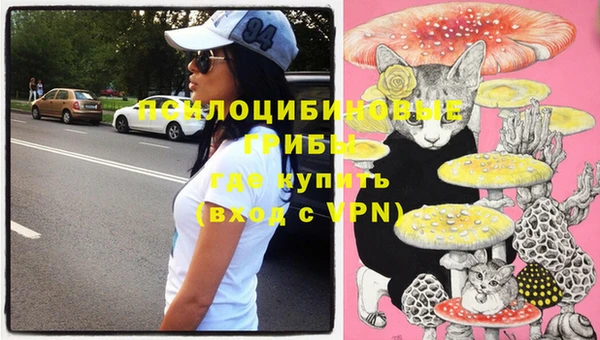 винт Костерёво