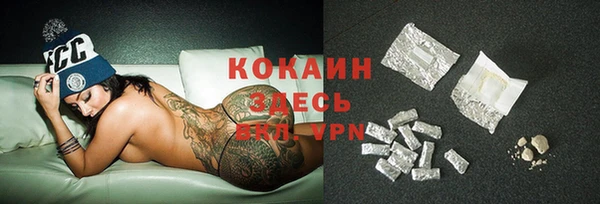 винт Костерёво